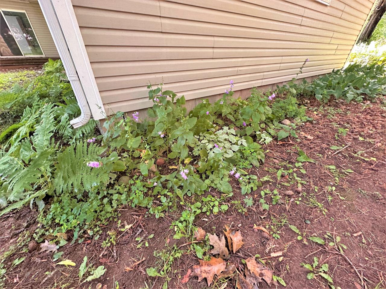 124 Fifield Street Phillips, WI 54555 - Photo 27 of 28 Gallery Image 27