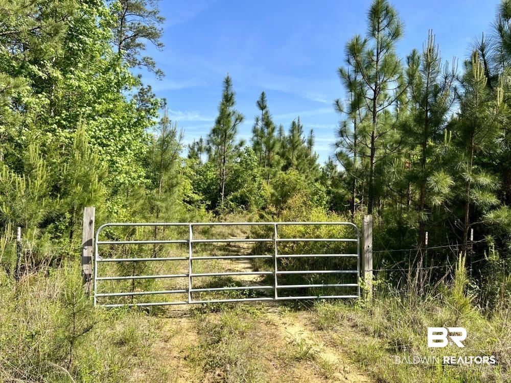 0 Fluker Kiel Road Coffeeville, AL 36524 - Photo 2 of 34
