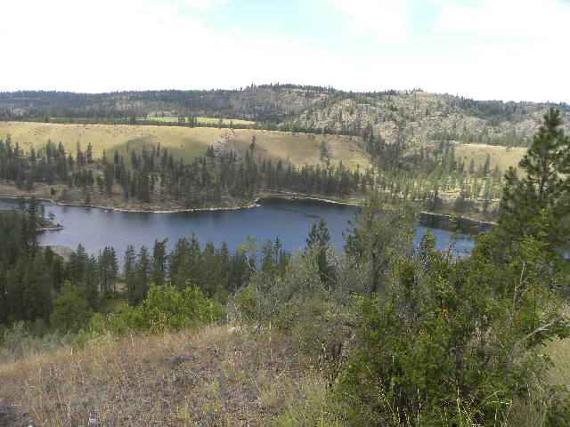 49815 Little Falls Road East Ford, WA 99013 - Photo 3 of 9 Gallery Image 3