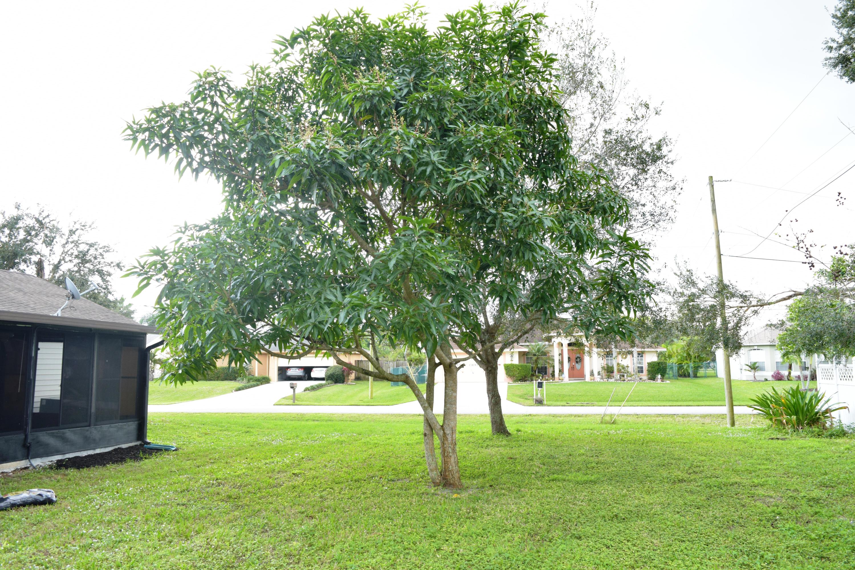 2998 Southwest Pierson Road Port St. Lucie, FL 34953 - Photo 11 of 12 DSC_0016