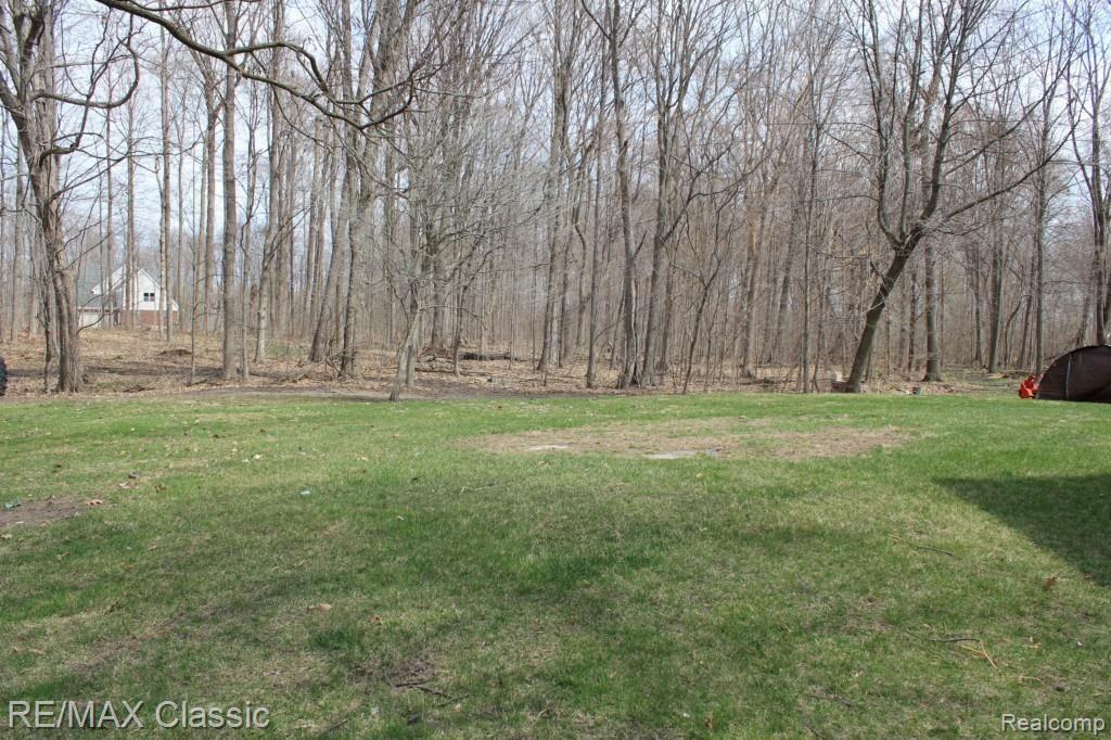 26760 Johns Road Wixom, MI 48393 - Photo 7 of 32 VIEW OF SIDE YARD