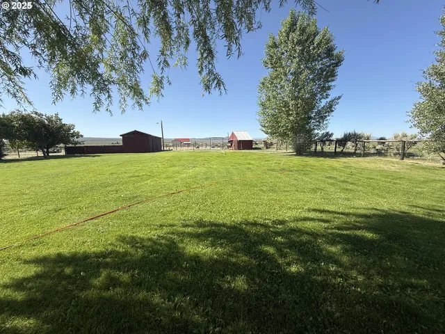a view of a field with an trees