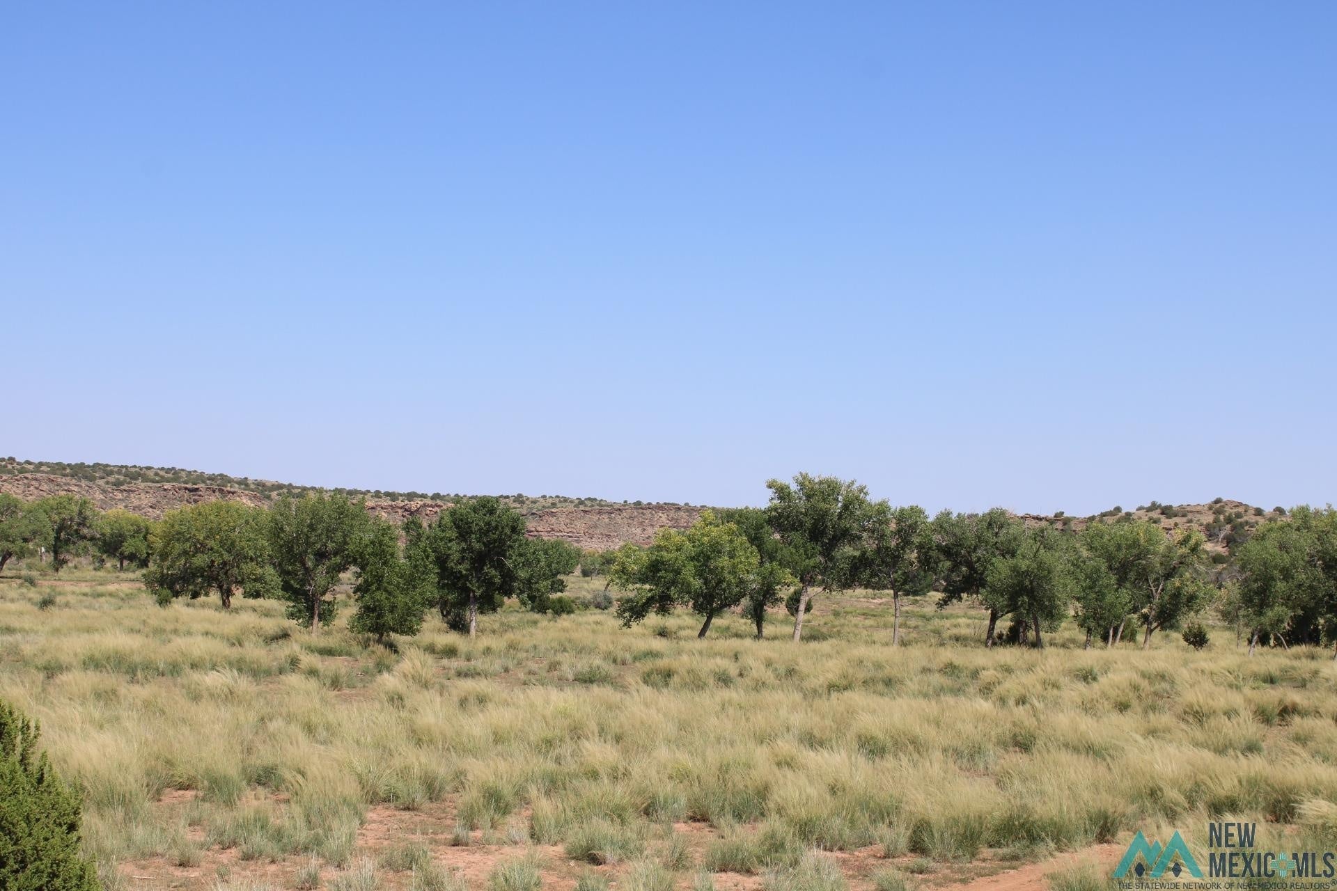 Pecos Valley Ranch Santa Rosa, NM 88435 - Photo 15 of 50 Gallery Image 15