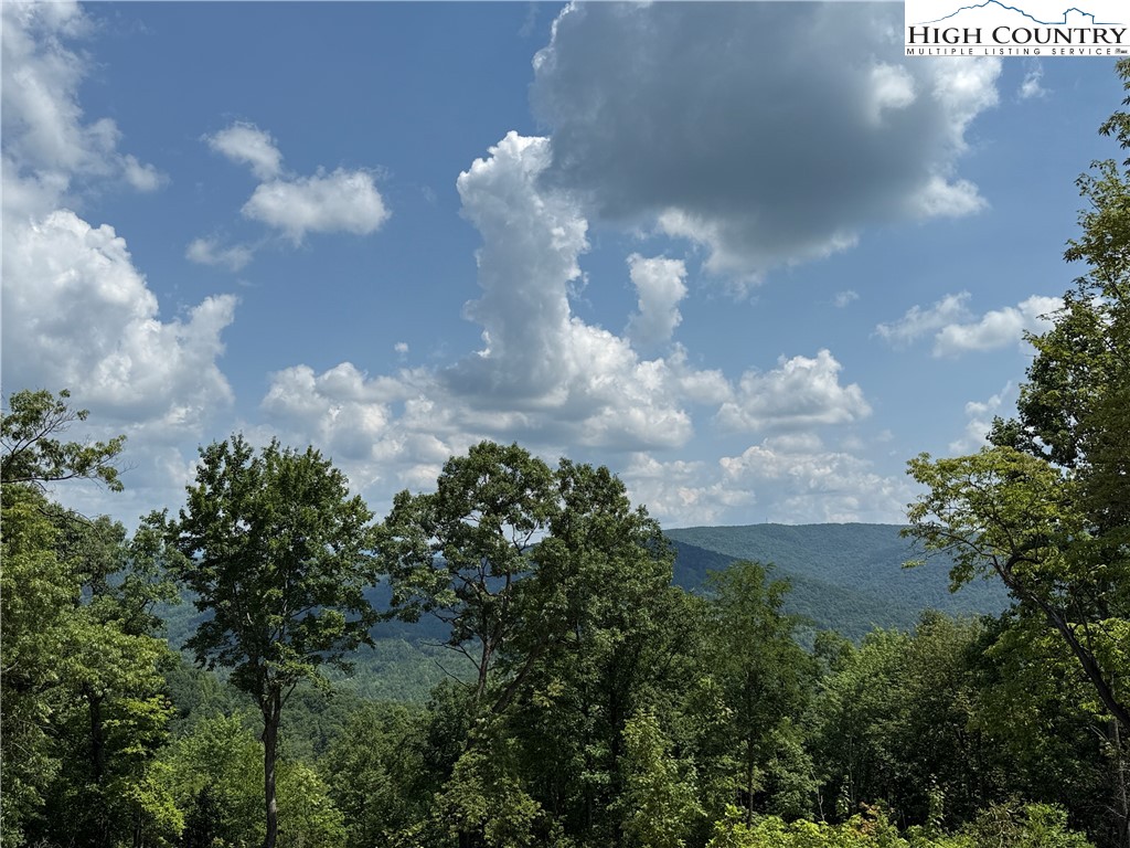 337 Lucas Path Drive Purlear, NC 28665 - Photo 11 of 48 a view of a lot of trees in background