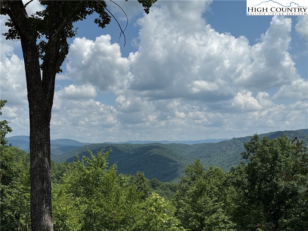 337 Lucas Path Drive Purlear, NC 28665 - Photo 12 of 48 a view of a yard in a yard