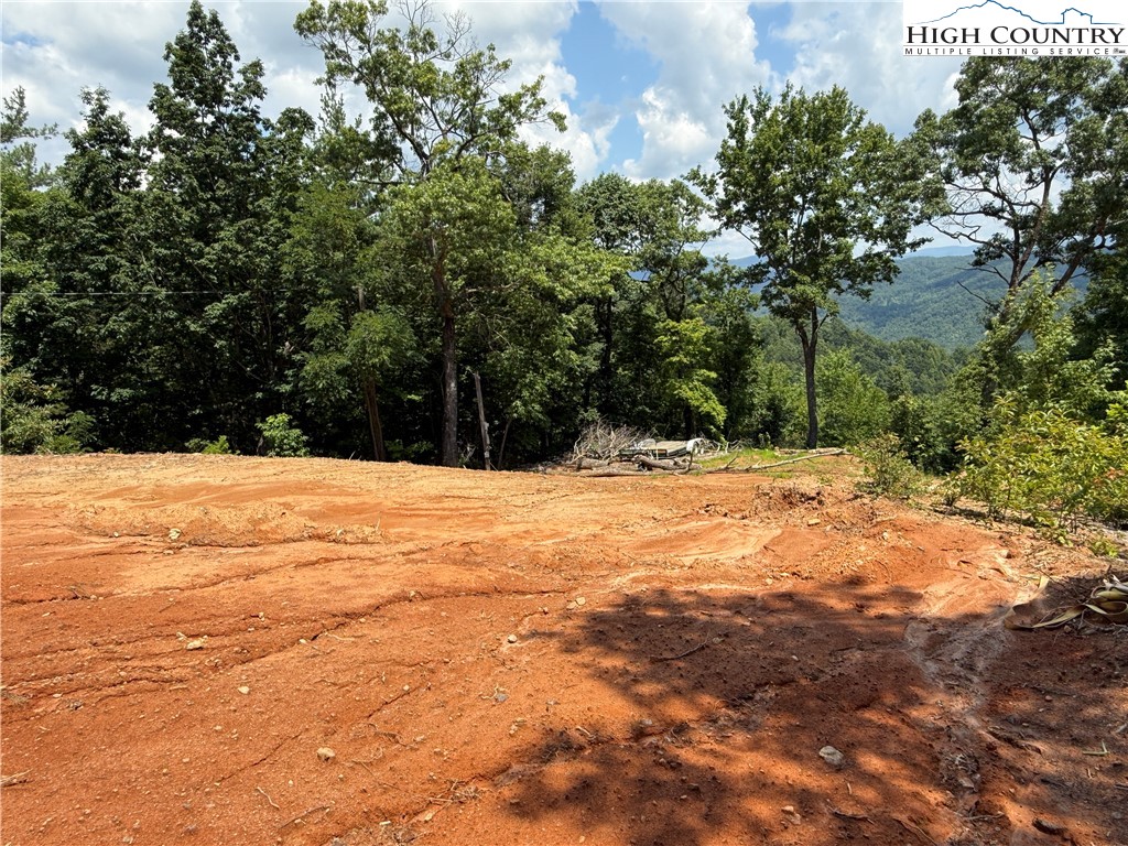 337 Lucas Path Drive Purlear, NC 28665 - Photo 14 of 48 a view of yard covered with snow