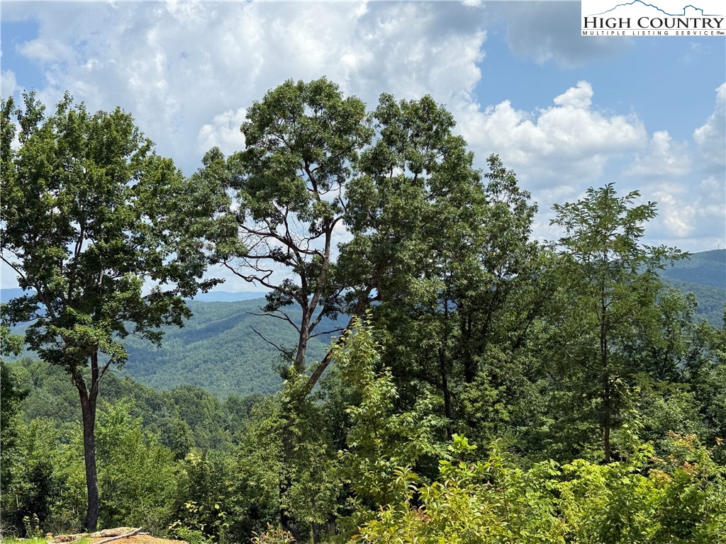 337 Lucas Path Drive Purlear, NC 28665 - Photo 15 of 48 a view of a lake with a building in the background