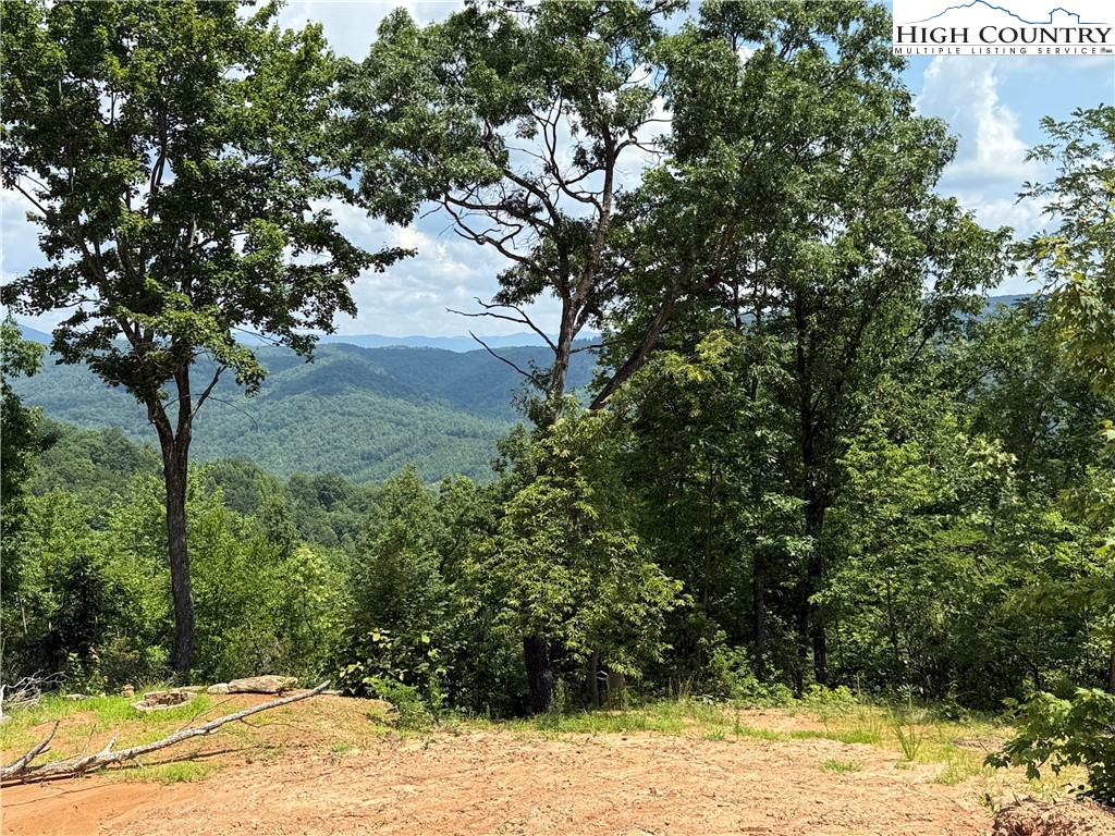 337 Lucas Path Drive Purlear, NC 28665 - Photo 16 of 48 a view of a yard