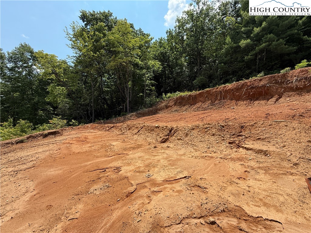 337 Lucas Path Drive Purlear, NC 28665 - Photo 17 of 48 a view of a backyard of the house