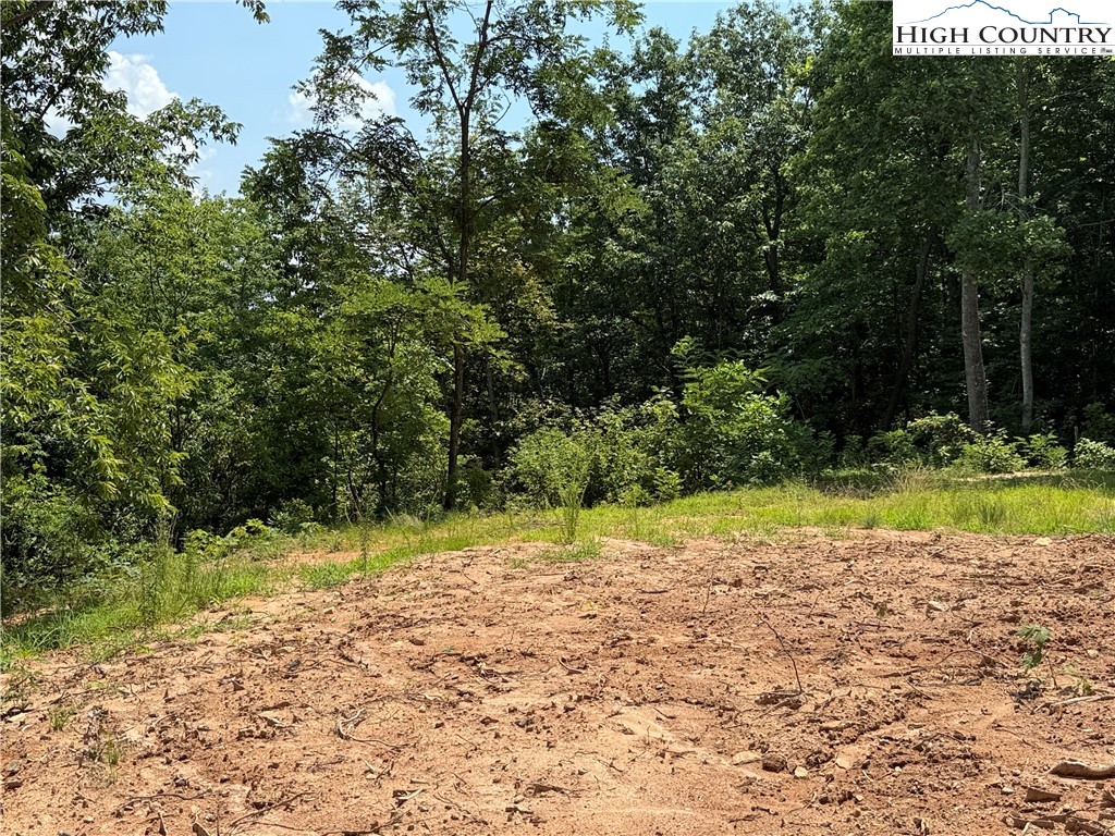 337 Lucas Path Drive Purlear, NC 28665 - Photo 19 of 48 a view of a backyard of a house