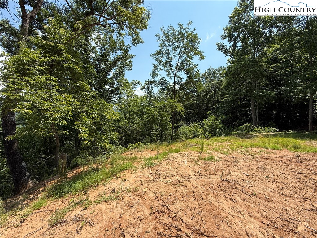 337 Lucas Path Drive Purlear, NC 28665 - Photo 20 of 48 a view of swimming pool with a yard