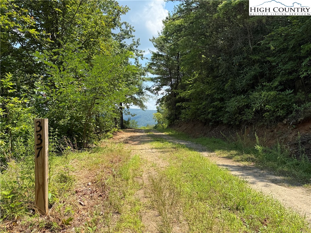 337 Lucas Path Drive Purlear, NC 28665 - Photo 2 of 48