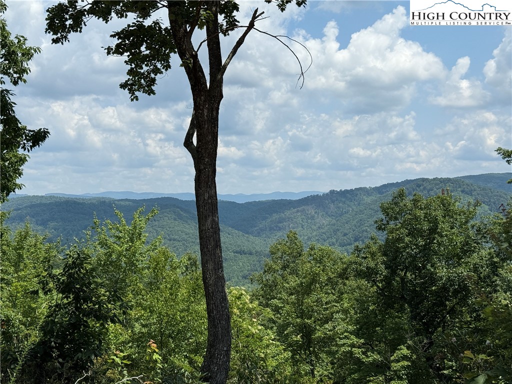 337 Lucas Path Drive Purlear, NC 28665 - Photo 21 of 48 a view of a yard in a yard
