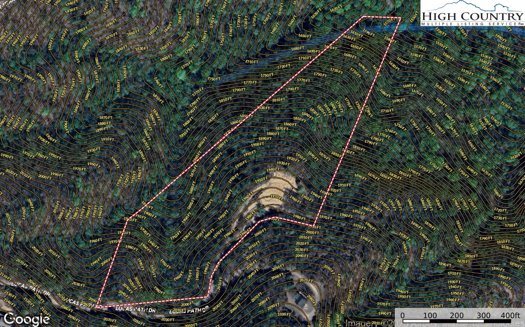 337 Lucas Path Drive Purlear, NC 28665 - Photo 23 of 48 a close up of a plant in a garden