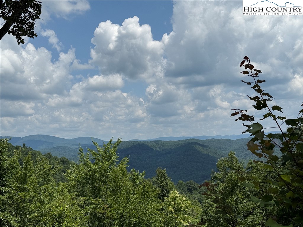 337 Lucas Path Drive Purlear, NC 28665 - Photo 3 of 48 a view of a pathway in a yard