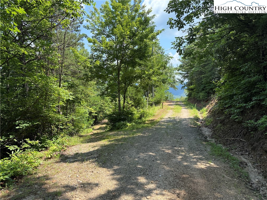 337 Lucas Path Drive Purlear, NC 28665 - Photo 4 of 48 a view of an outdoor space
