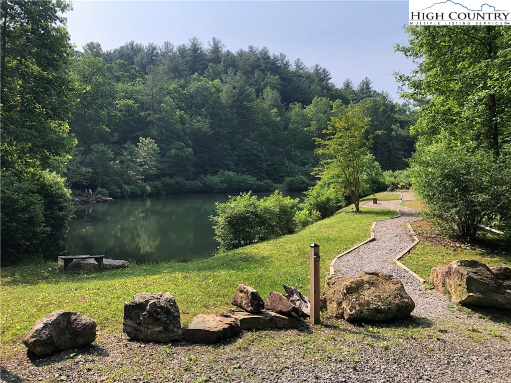 337 Lucas Path Drive Purlear, NC 28665 - Photo 41 of 48 a view of a backyard with plants and a lake