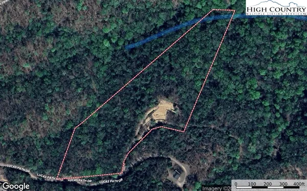 a view of a forest that has a tree