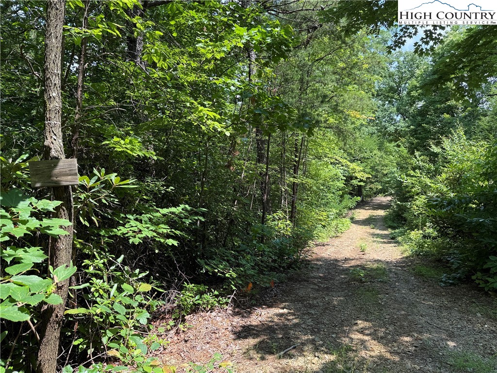 337 Lucas Path Drive Purlear, NC 28665 - Photo 7 of 48 a view of a forest that has a tree