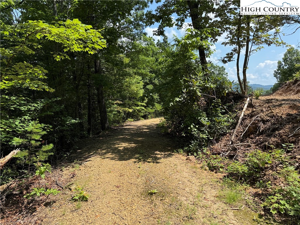 337 Lucas Path Drive Purlear, NC 28665 - Photo 8 of 48 a view of a yard with plants and trees