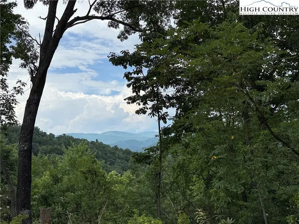 a view of a lot of trees in background