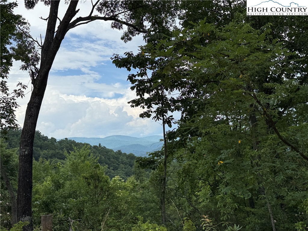 337 Lucas Path Drive Purlear, NC 28665 - Photo 9 of 48 a view of a tree in a field of a tree