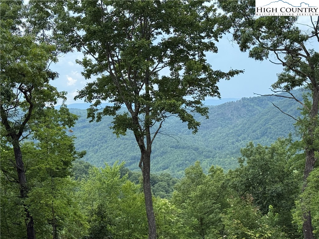 337 Lucas Path Drive Purlear, NC 28665 - Photo 10 of 48 a view of tree