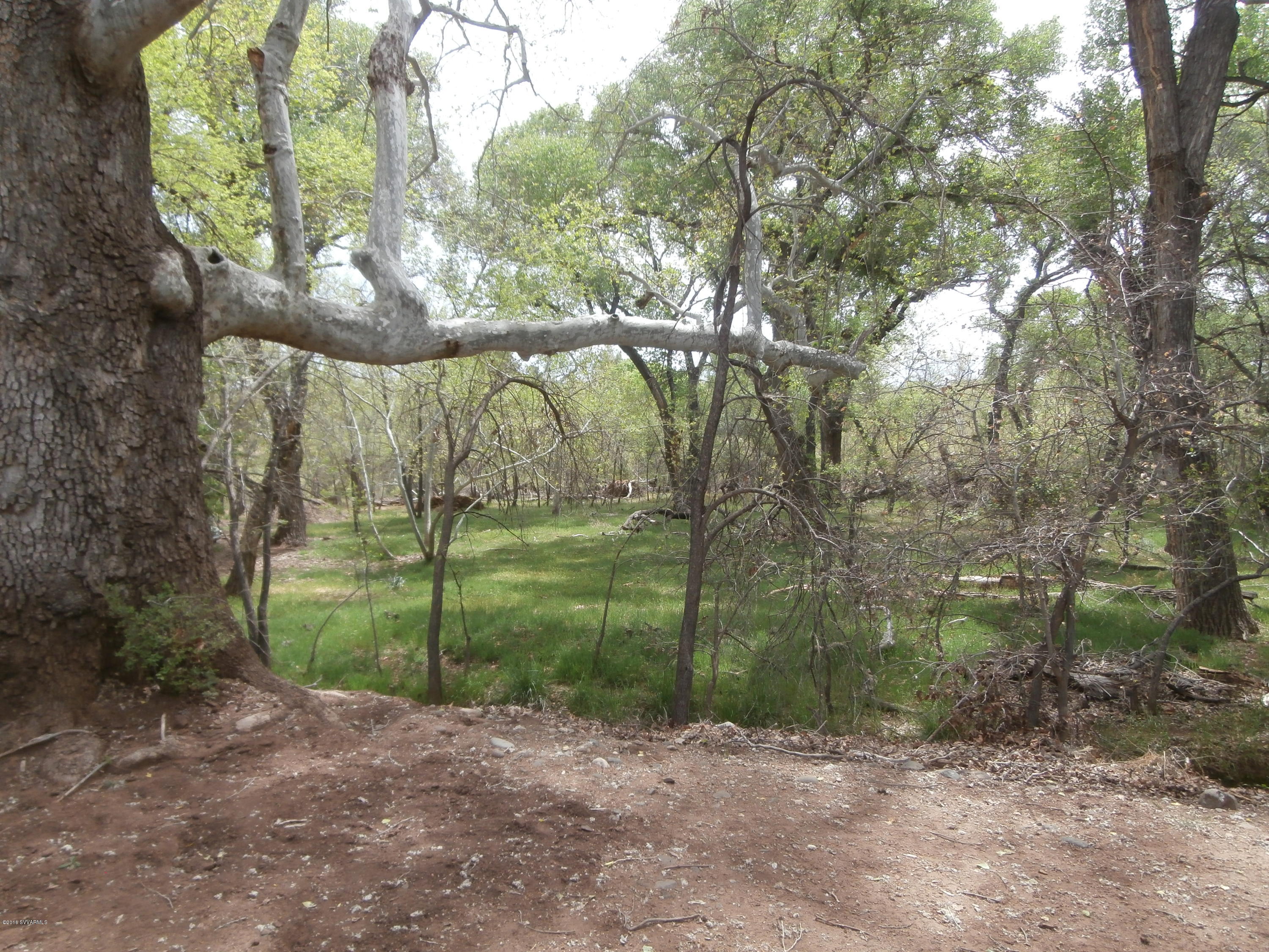 4305 East Aztec Road Rimrock, AZ 86335 - Photo 8 of 25 a backyard of a house with lots of green space