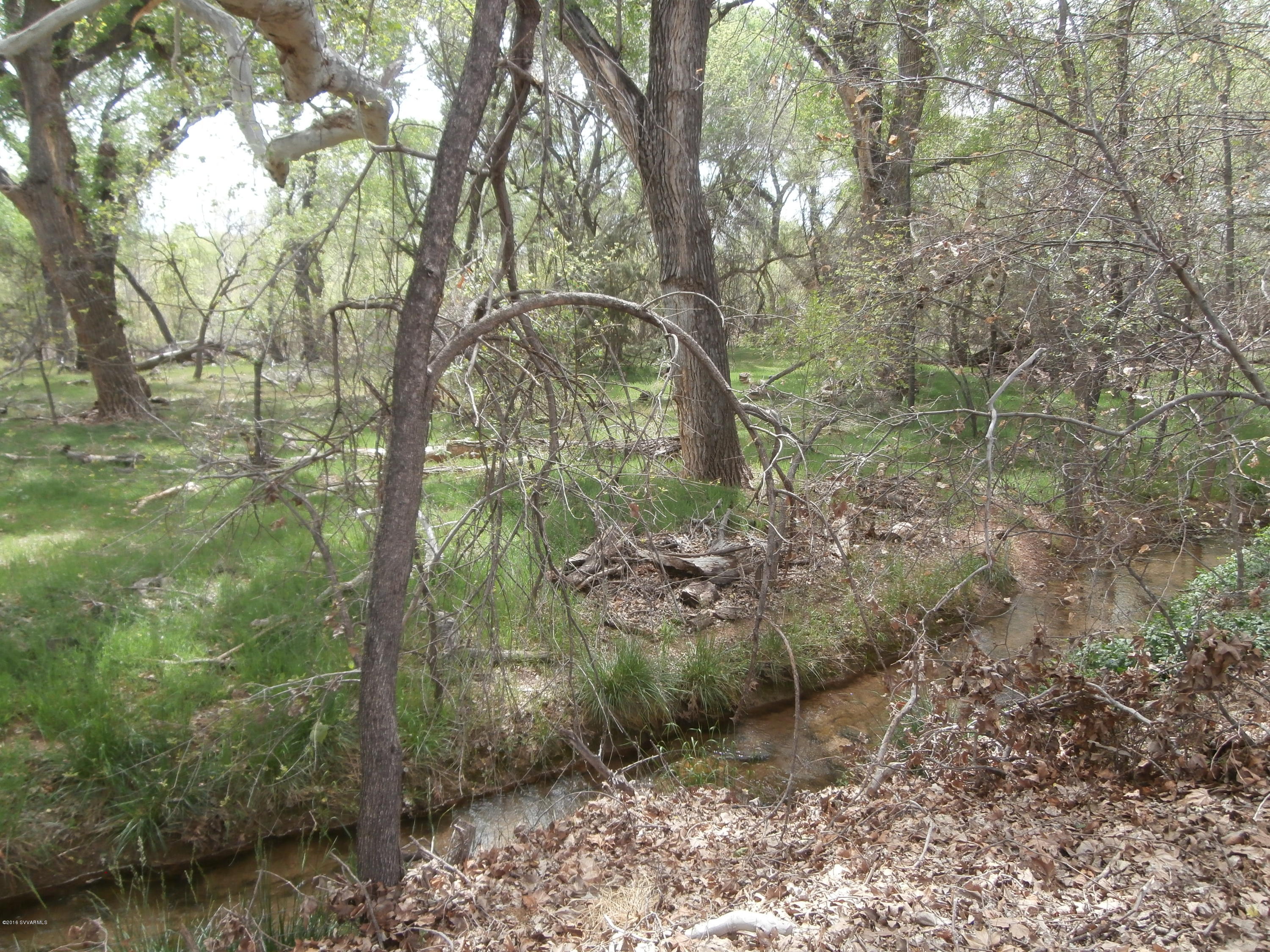 4305 East Aztec Road Rimrock, AZ 86335 - Photo 10 of 25 a view of a forest filled with trees