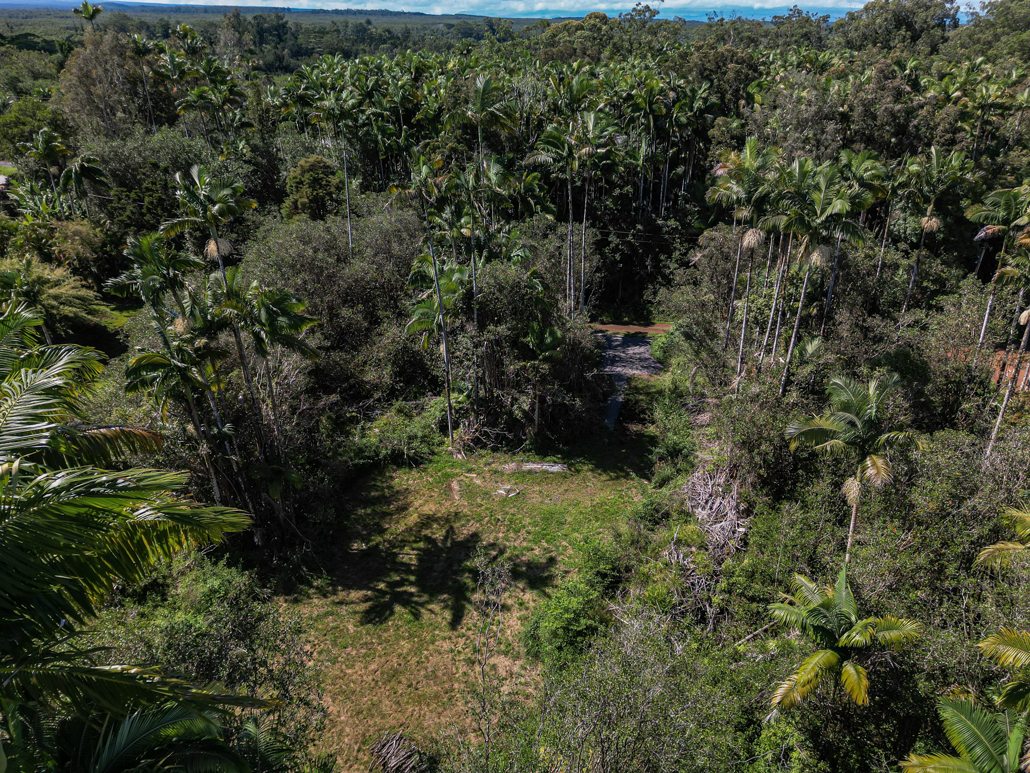 2 Volcano Road Mountain View, HI 96771 - Photo 17 of 18