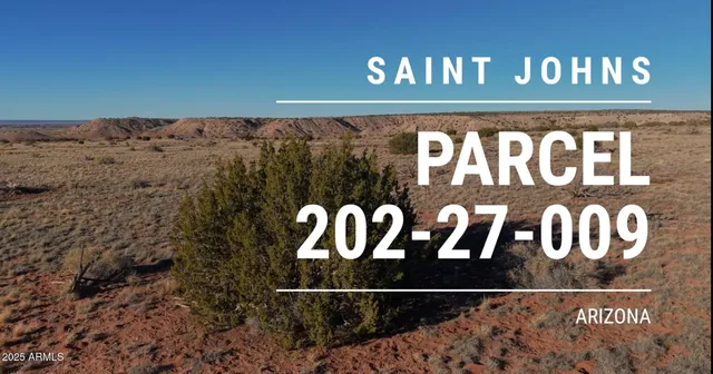 $50,000 | 150 150 County Road, St. Johns, AZ 85936