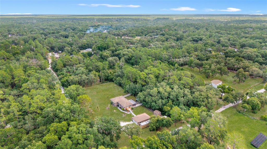 15755 Southwest 90th Avenue Dunnellon, FL 34432 - Photo 54 of 55 a view of a forest with a street
