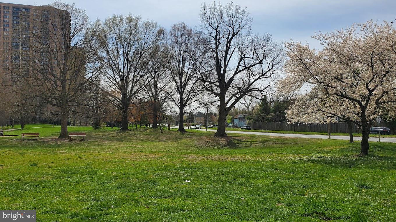 5501 Seminary Road, Unit 514S Falls Church, VA 22041 - Photo 67 of 72 a view of a park with large trees