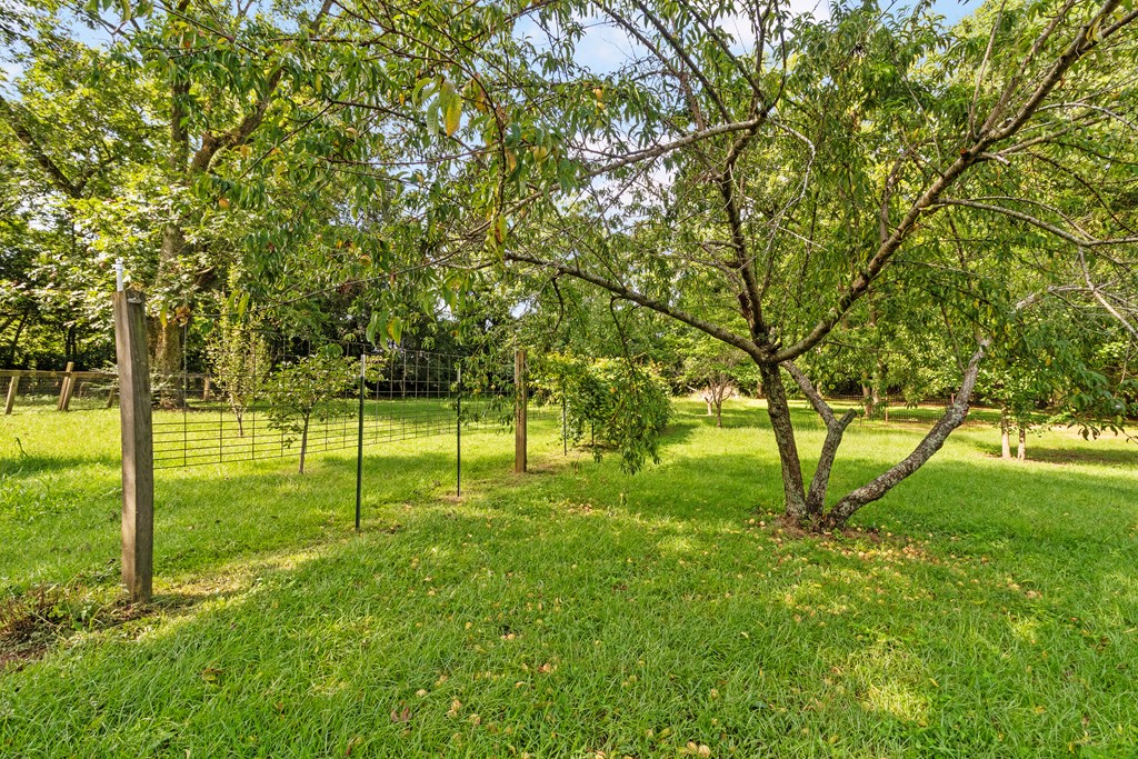 1691 Spring Street Newton, AL 36352 - Photo 50 of 58