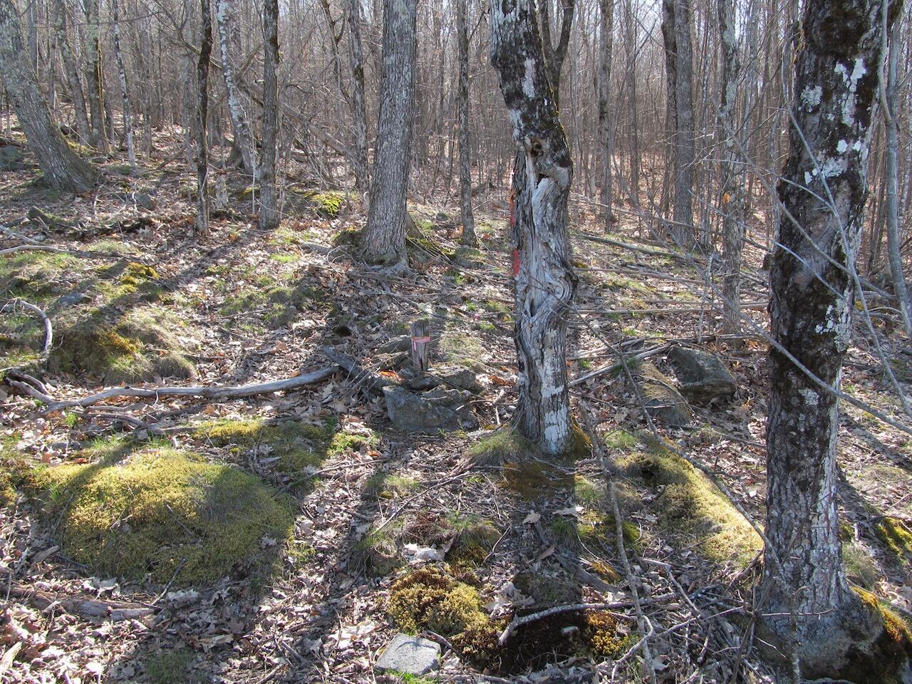 L6 Ranch Road Buckfield, ME 04220 - Photo 5 of 34