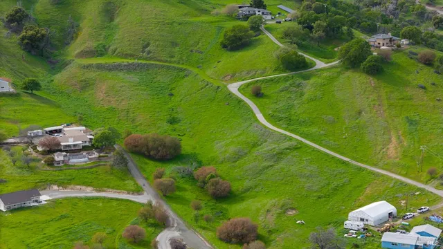 a view of a golf course with plants