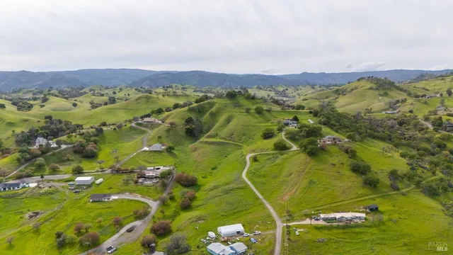 a view of a yard with plants