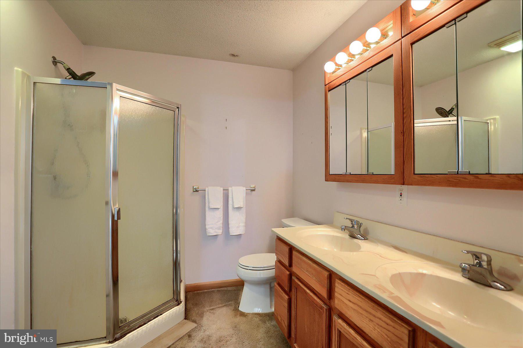7621 Jonestown Road Harrisburg, PA 17112 - Photo 14 of 69 Primary Bathroom