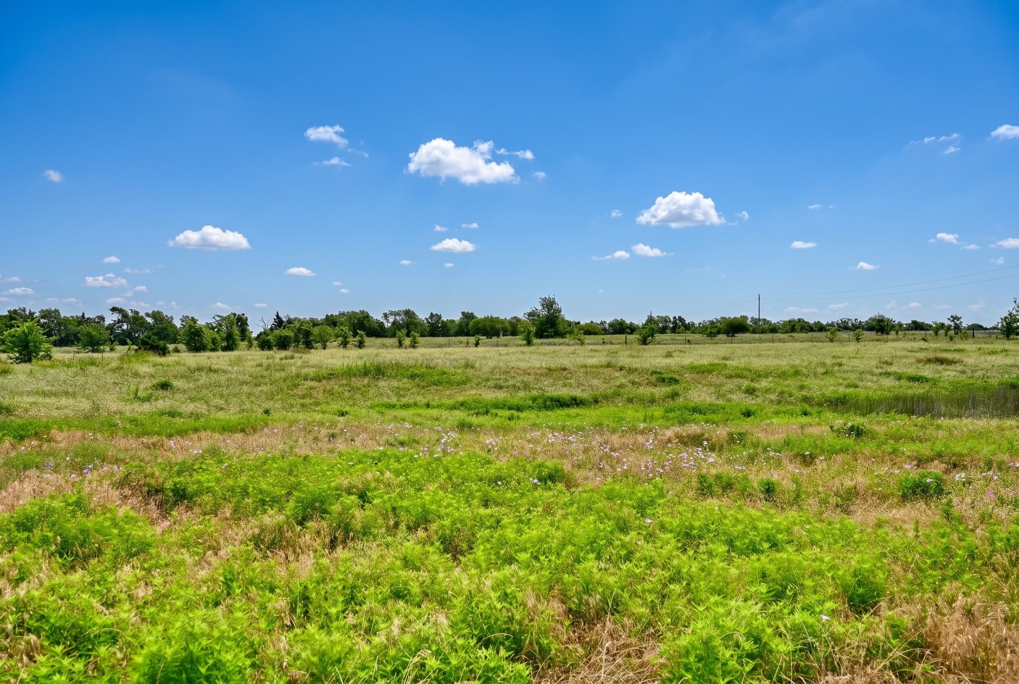 11234 North Loop Road Brenham, TX 77833 - Photo 44 of 50