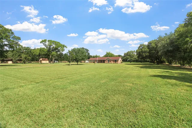 a view of a trees with a big yard