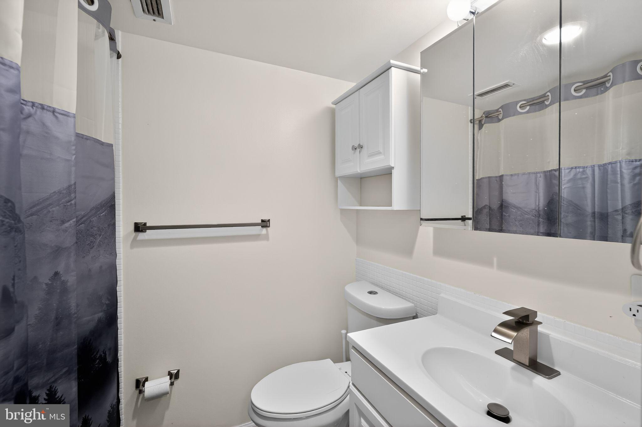 429 N Street Southwest, Unit S210 Washington, DC 20024 - Photo 4 of 16 a bathroom with a sink a toilet and shower