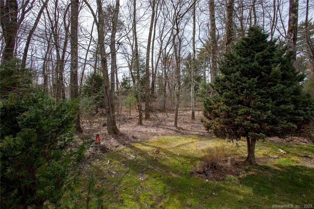 a view of a yard with large trees