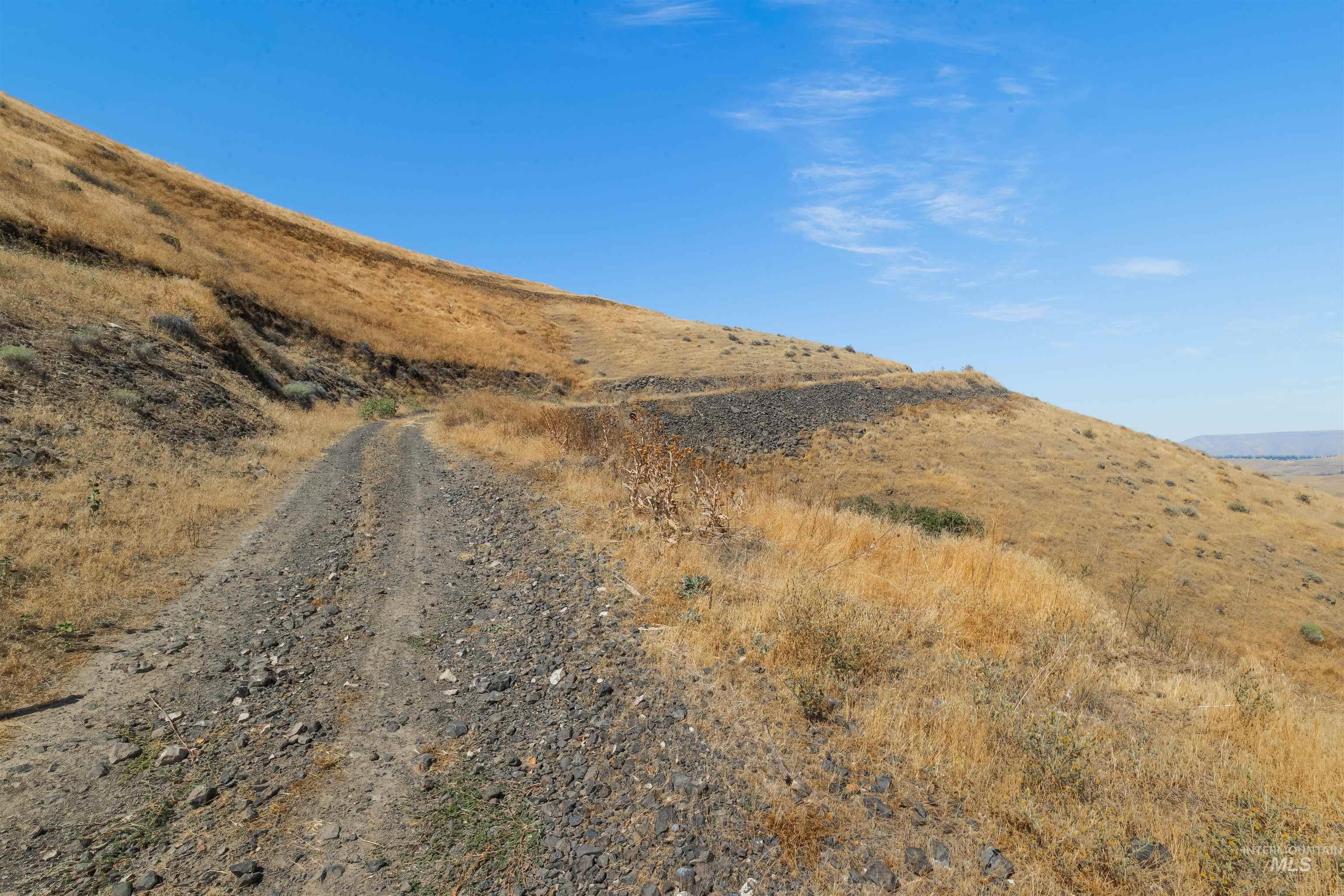 1550 Perro Pointe Road Asotin, WA 99402 - Photo 30 of 50 View of road with a mountain view
