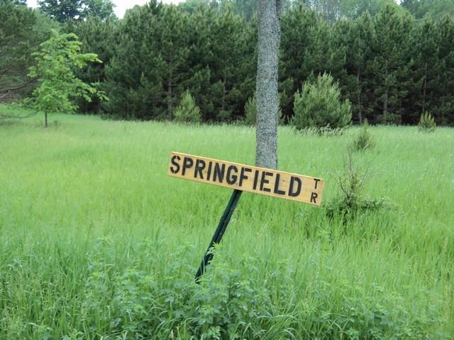 0 Springfield Trail Southwest South Boardman, MI 49680 - Photo 17 of 17 1786345-16.JPG