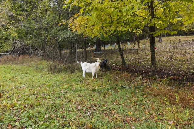 a view of a backyard with sitting area