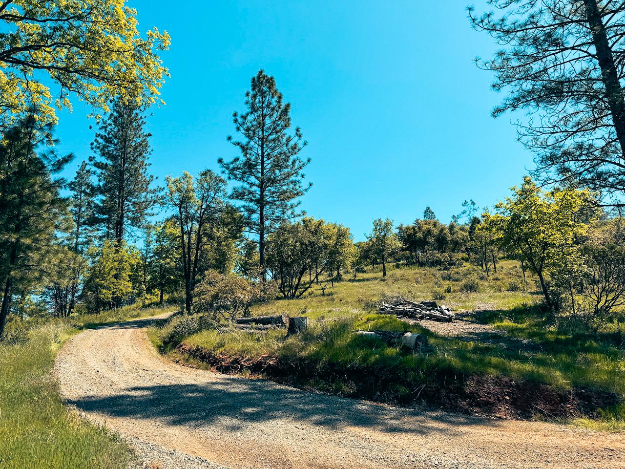 7300 Miller Ranch Road Mountain Ranch, CA 95246 - Photo 1 of 1 Gallery Image 1