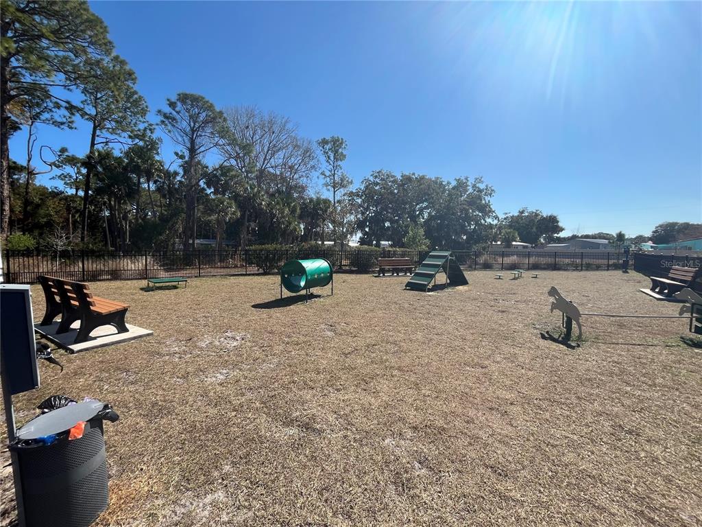 174 Jones Fish Camp Road Edgewater, FL 32141 - Photo 53 of 53