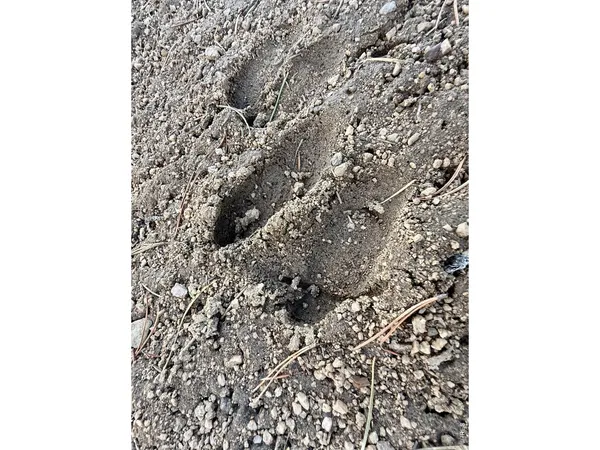 a bathroom with a shower curtain