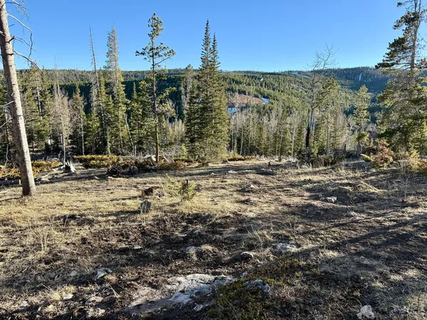 a view of a building with trees in the background
