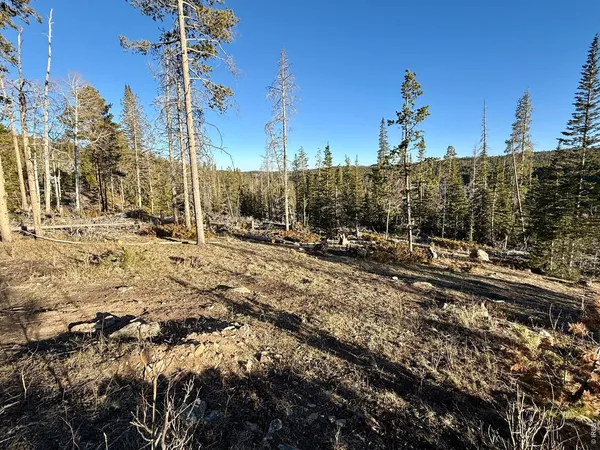a view of a backyard of the house
